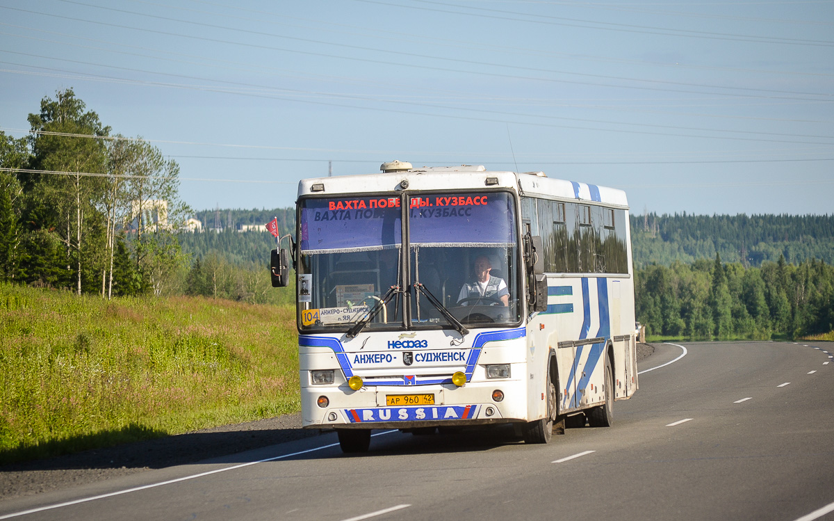 Kemerovo region - Kuzbass, NefAZ-5299-10-17 č. 22