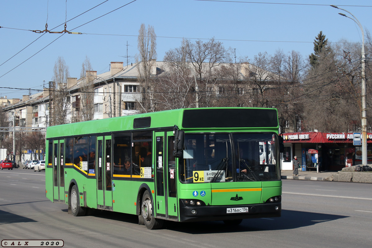 Воронежская область, МАЗ-103.465 № Н 316 ВС 136