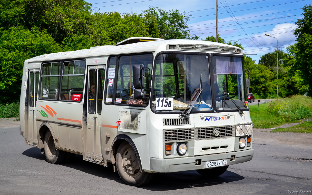 Новосибирская область, ПАЗ-32054 № Е 828 АУ 154