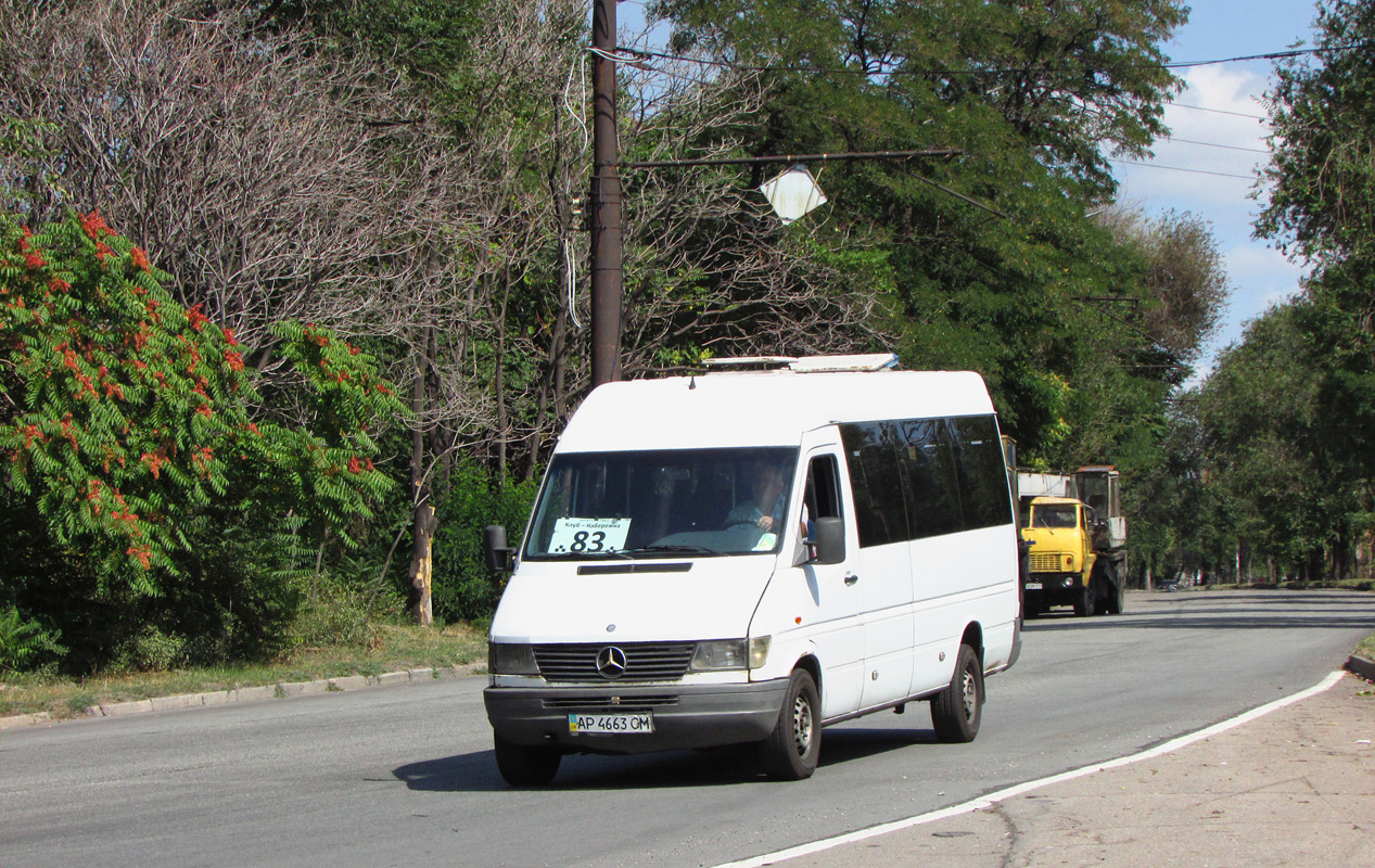 Запорожская область, Mercedes-Benz Sprinter W903 310D № AP 4663 CM