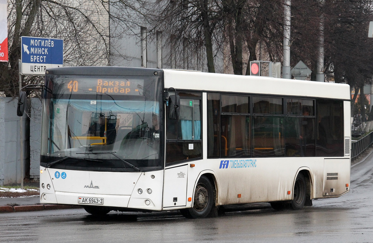 Гомельская область, МАЗ-206.063 № 036994