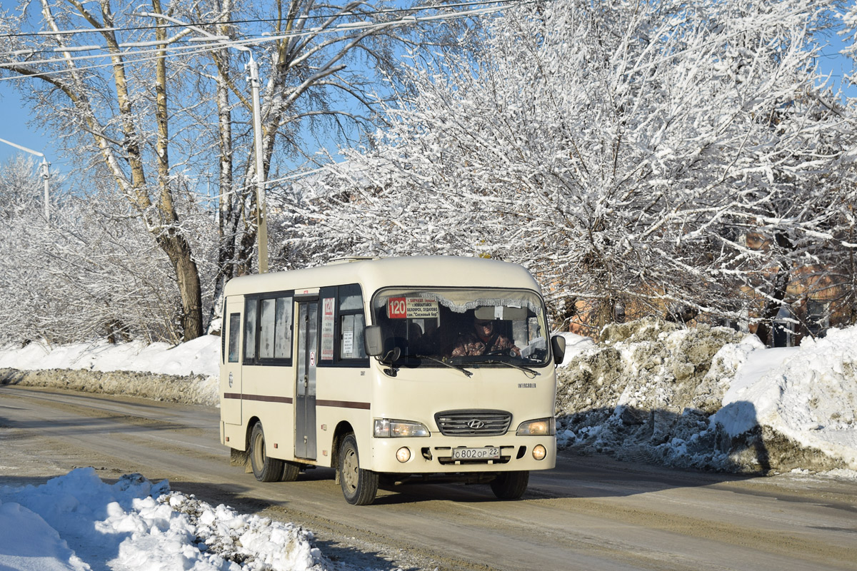 Алтайский край, Hyundai County SWB (РЗГА) № О 802 ОР 22