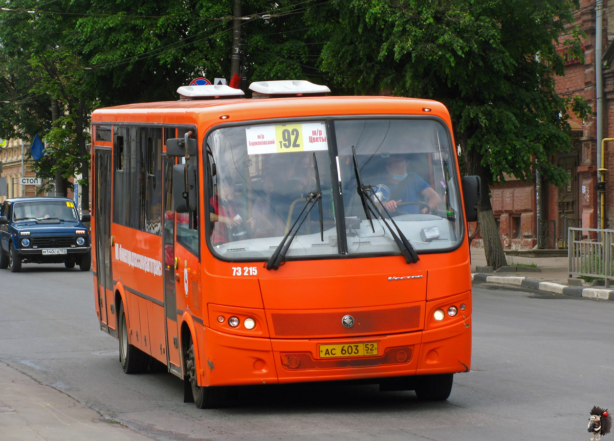 Нижегородская область, ПАЗ-320414-05 "Вектор" (1-2) № 73215