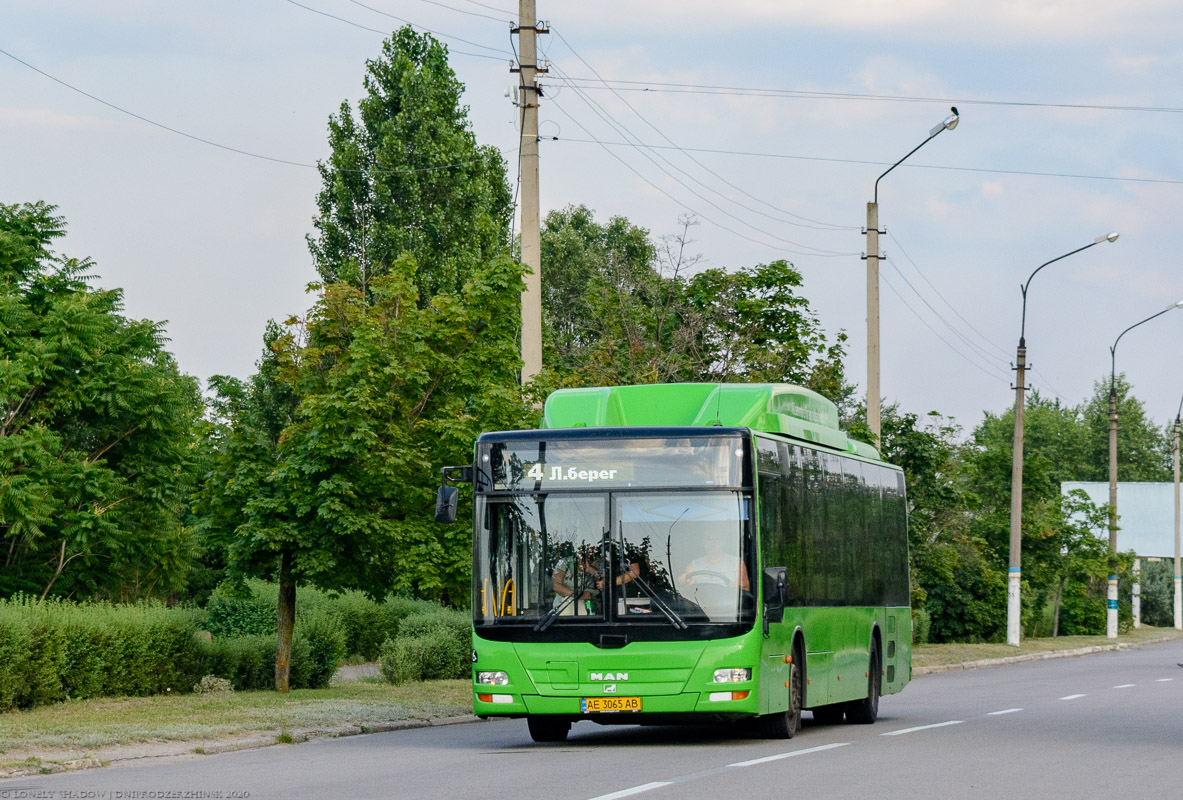 Днепропетровская область, MAN A21 Lion's City NL313 CNG № AE 3065 AB