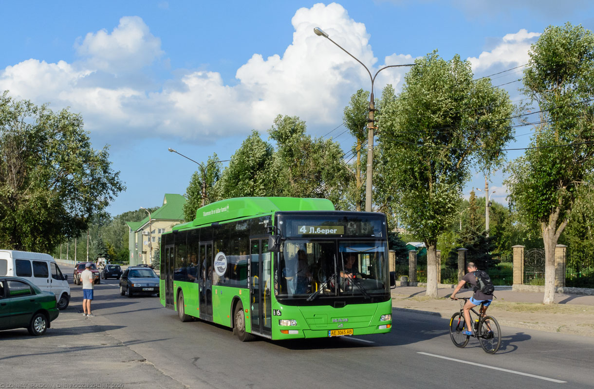 Днепропетровская область, MAN A21 Lion's City NL313 CNG № AE 3065 AB