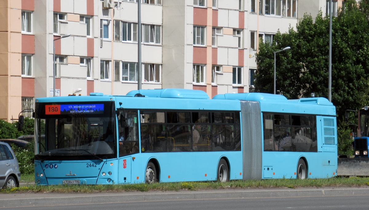 Санкт-Петербург, МАЗ-216.066 № 2442