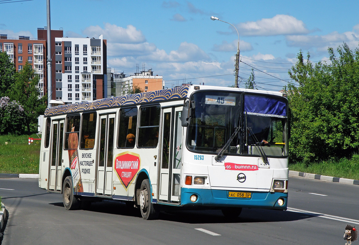 Nizhegorodskaya region, LiAZ-5256.26 № 15263