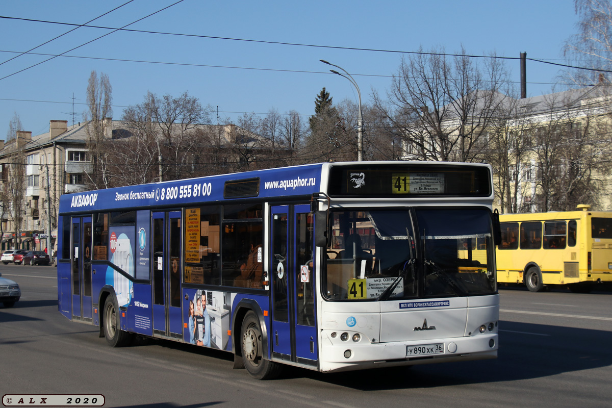 Воронежская область, МАЗ-103.469 № У 890 ХК 36