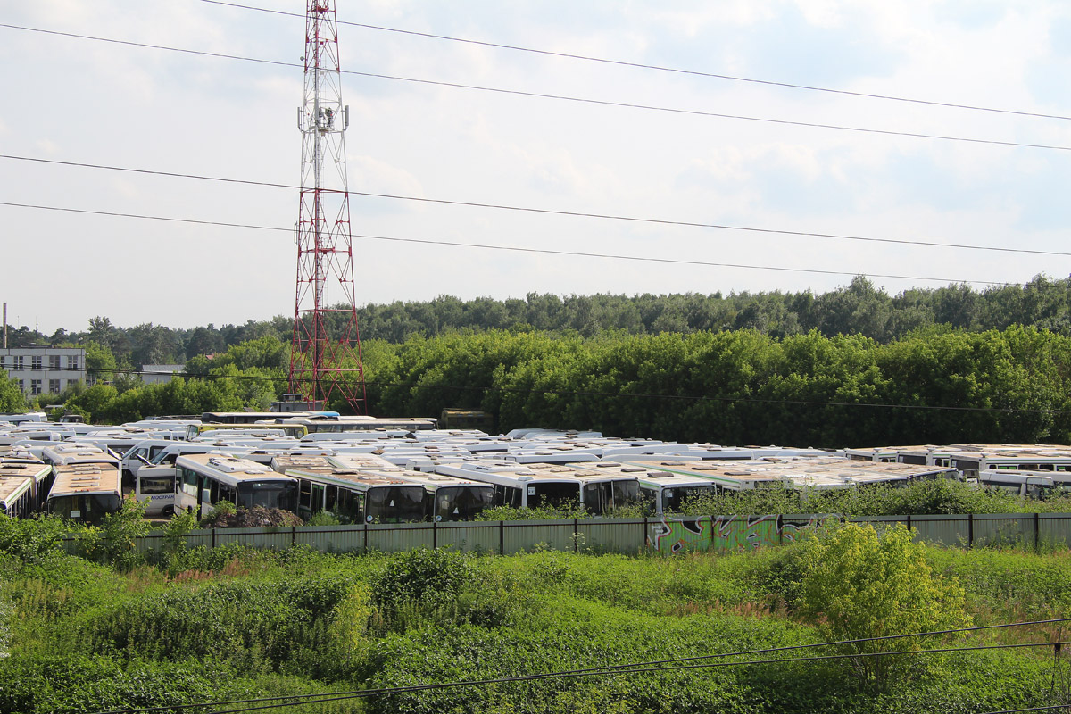 Moscow region — Miscellaneous photos