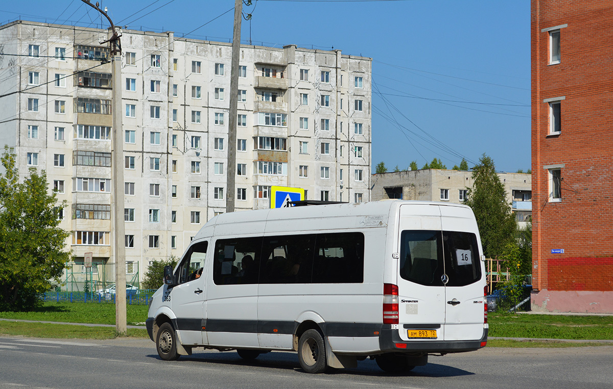 Тюменская область, Луидор-22360C (MB Sprinter) № 363