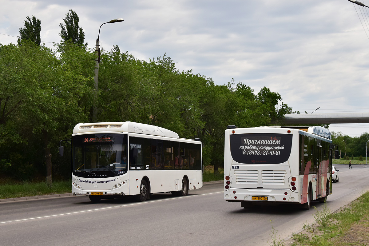 Волгоградская область, Volgabus-5270.GH № 827; Волгоградская область, Volgabus-5270.GH № 825