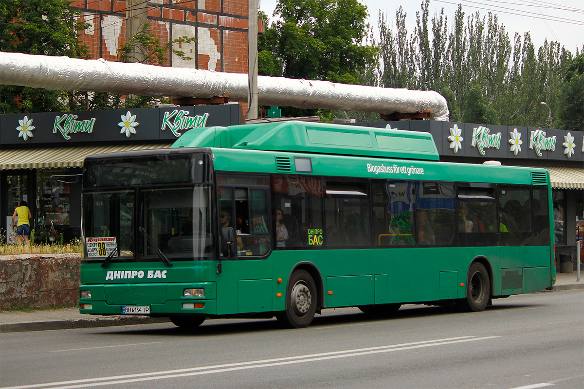 Днепропетровская область, MAN A21 NL313 CNG № 11103