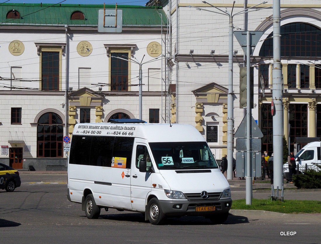 Витебская область, Классикбус-90917 (MB Sprinter) № 2 ТАХ 6295