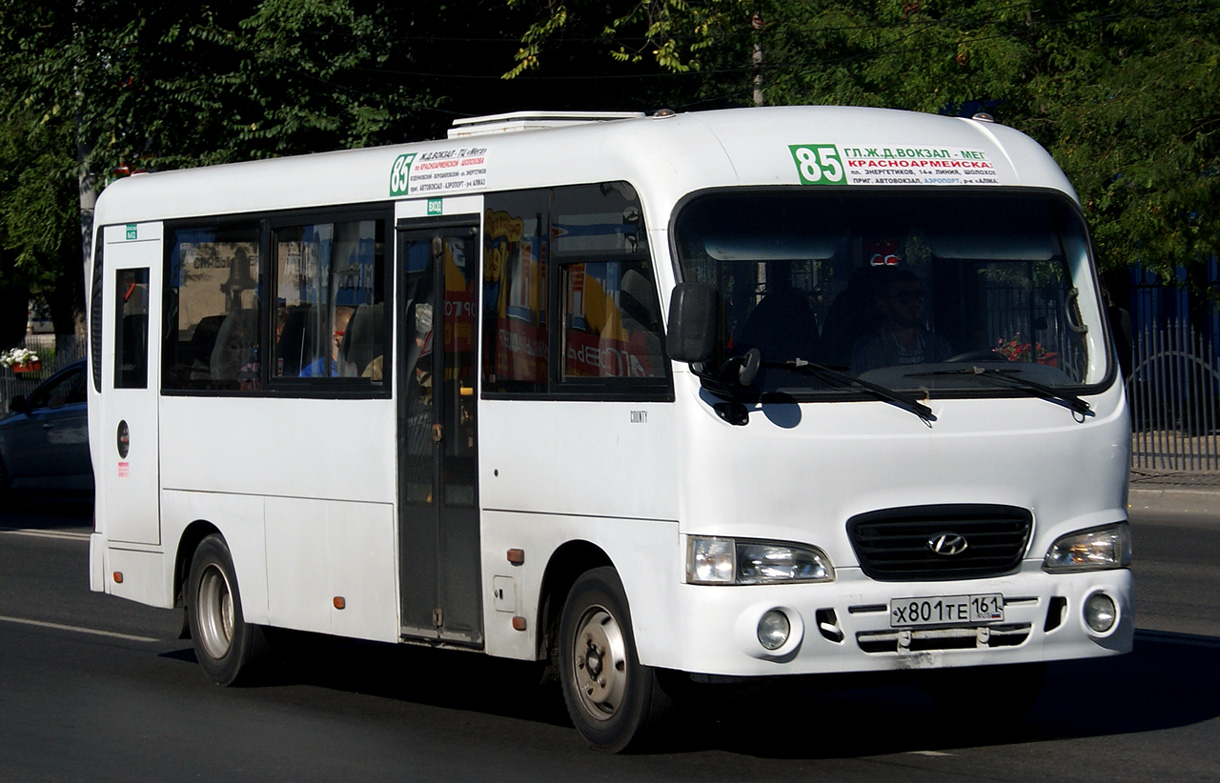 Ростовская область, Hyundai County LWB C11 (ТагАЗ) № 176