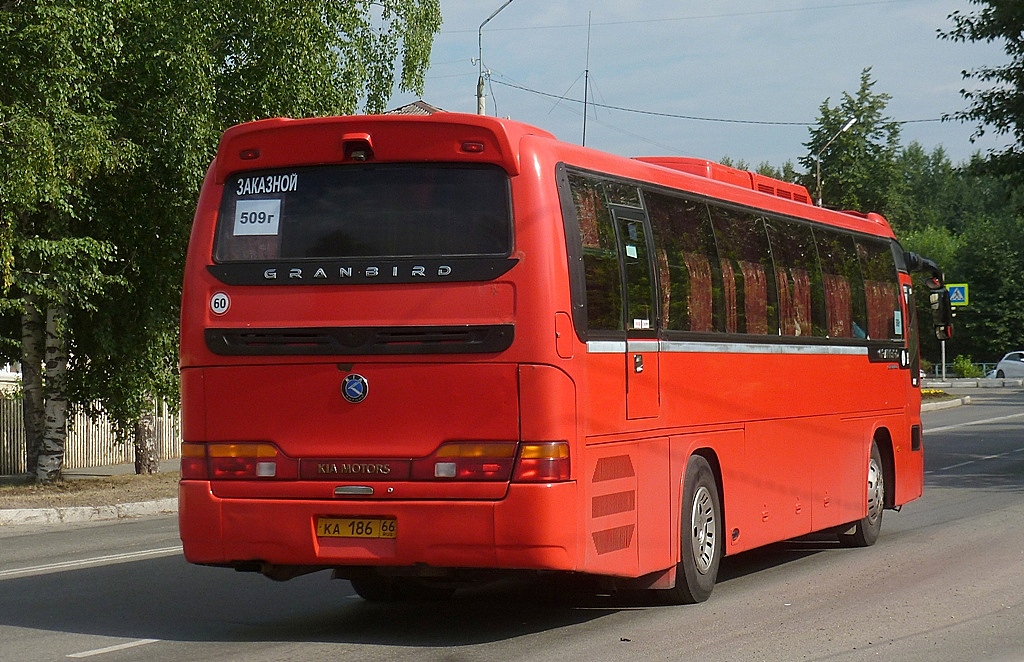 509 автобус. Granbird Greenfield. Автобус 509г Екатеринбург Карпинск.