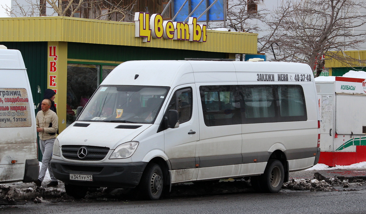 Камчатский край, Луидор-22360C (MB Sprinter) № А 341 УУ 41