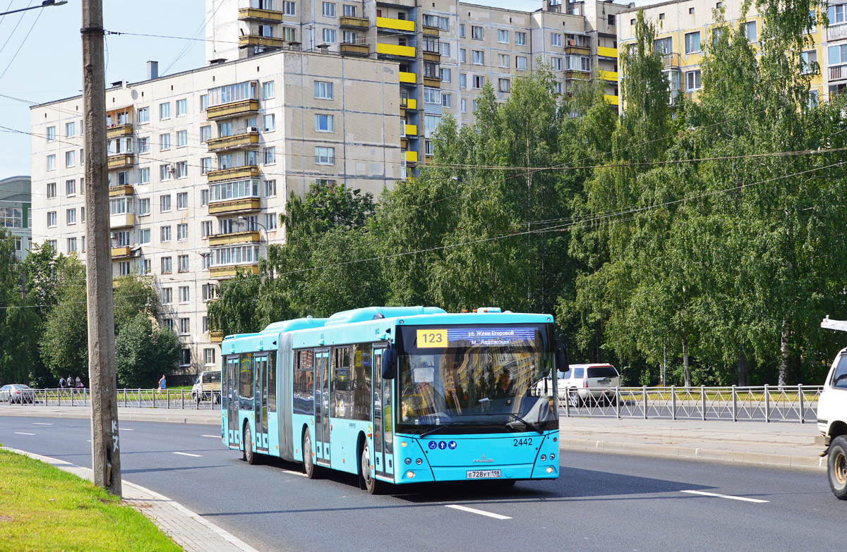 Санкт-Петербург, МАЗ-216.066 № 2442