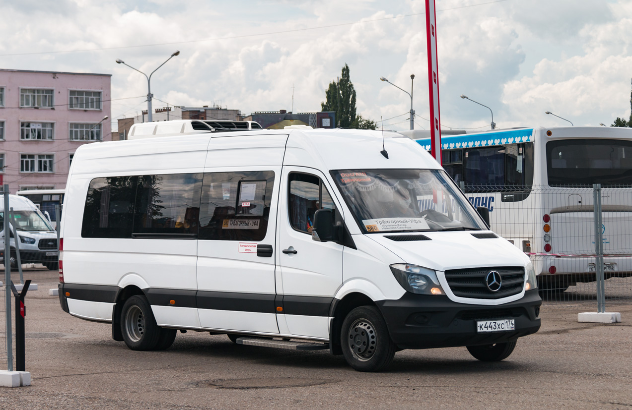 Челябинская область, Луидор-223602 (MB Sprinter) № К 443 ХС 174