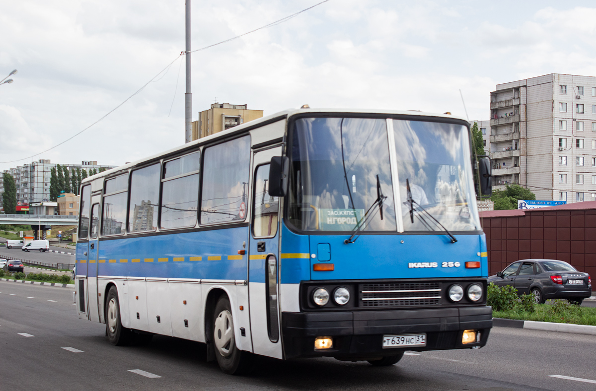 Белгородская область, Ikarus 256.21H № Т 639 НС 31