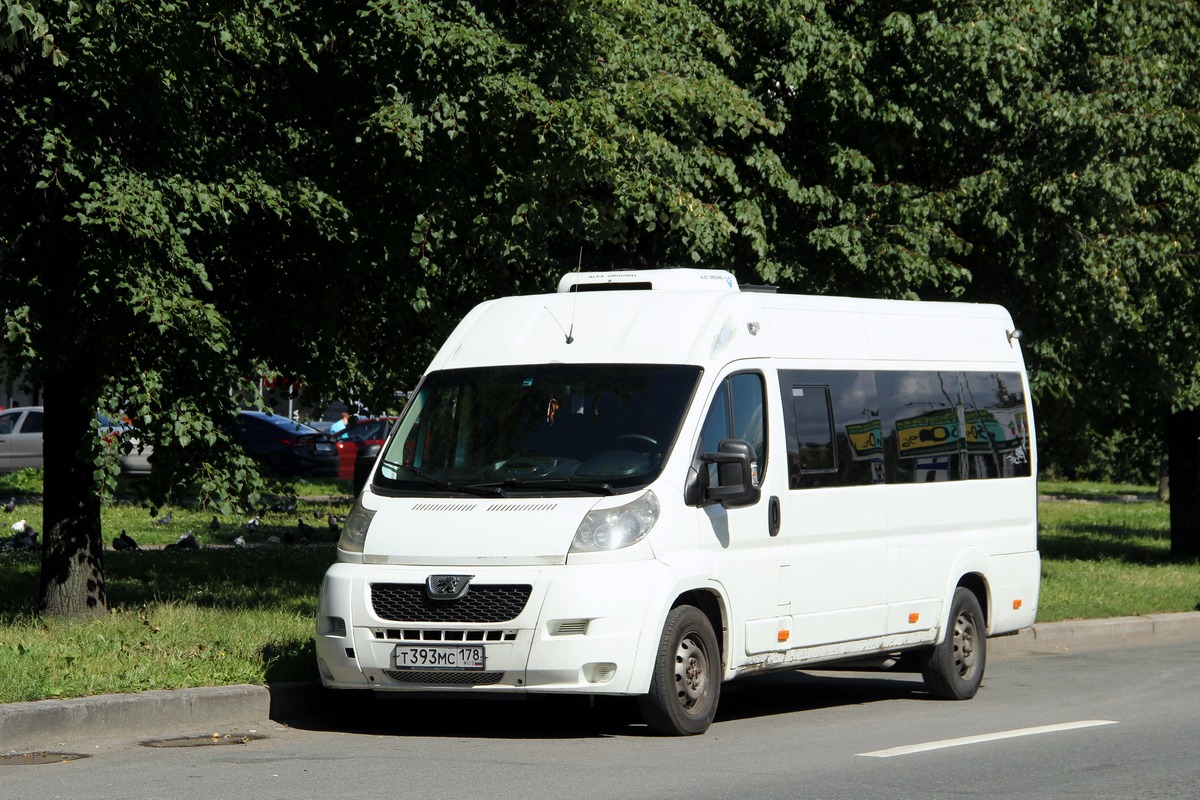 Санкт-Петербург, Нижегородец-2227SK (Peugeot Boxer) № Т 393 МС 178