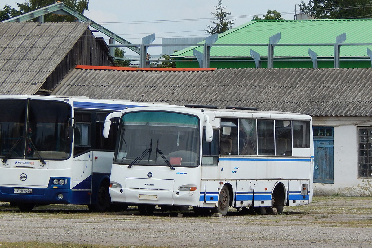 Воронежская область, ПАЗ-4230-02 № АВ 928 36