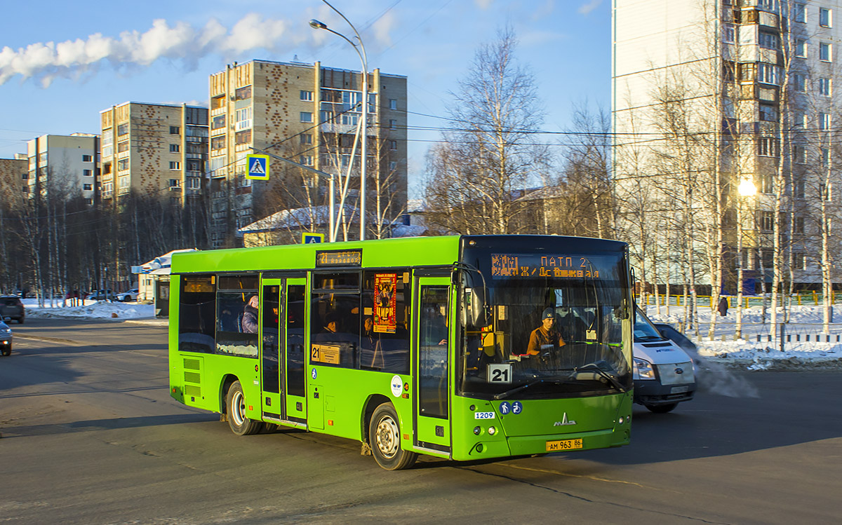 Ханты-Мансийский АО, МАЗ-206.068 № 1209