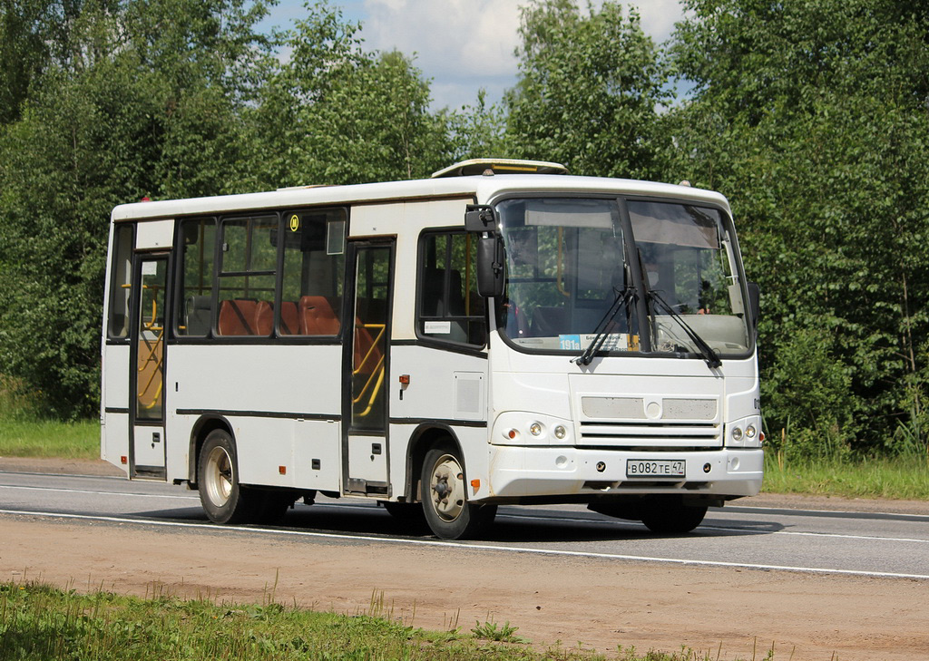 Ленинградская область, ПАЗ-320402-03 № 01210