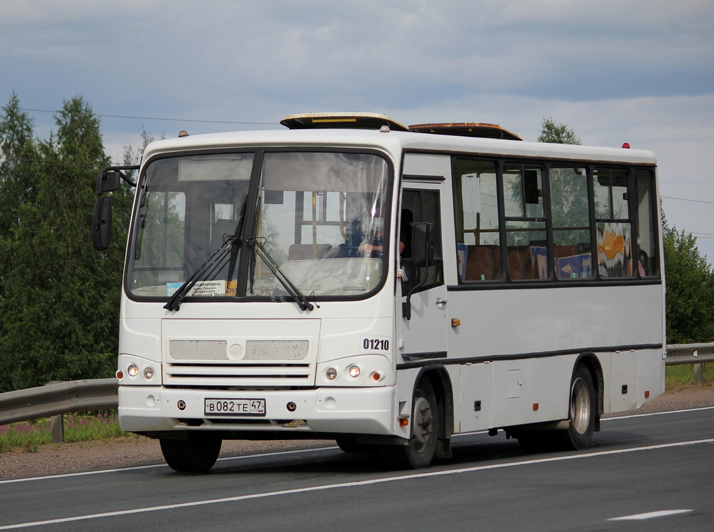 Ленинградская область, ПАЗ-320402-03 № 01210