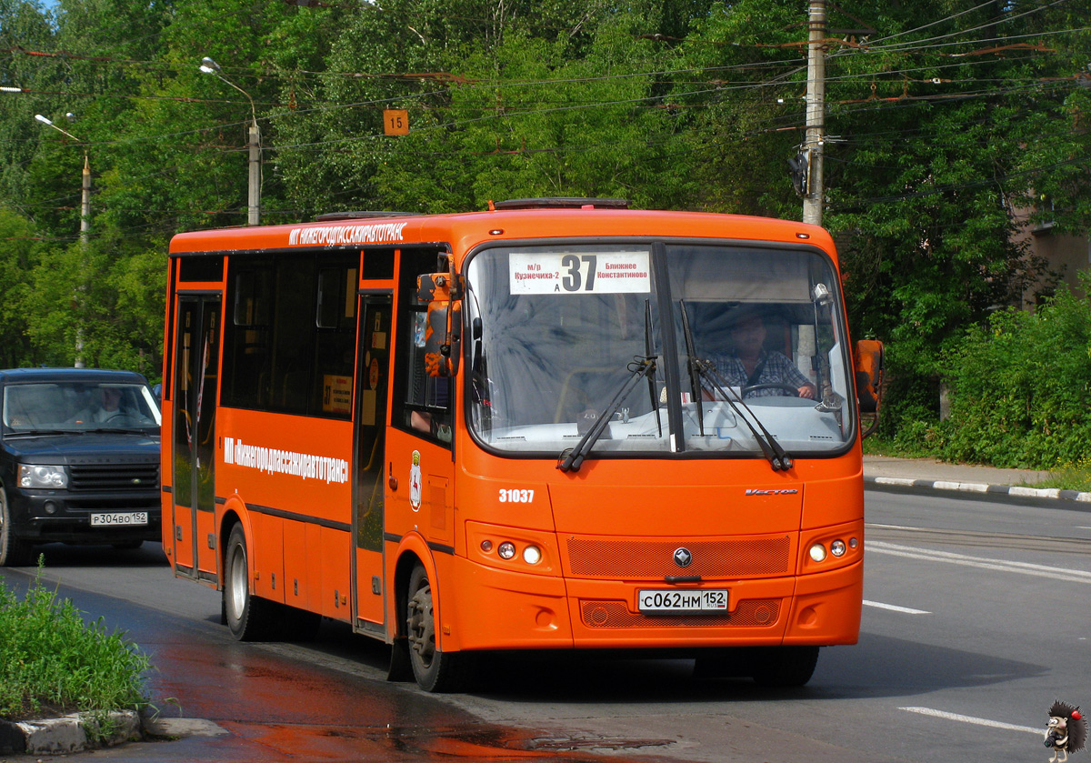 Нижегородская область, ПАЗ-320414-04 "Вектор" № 31037