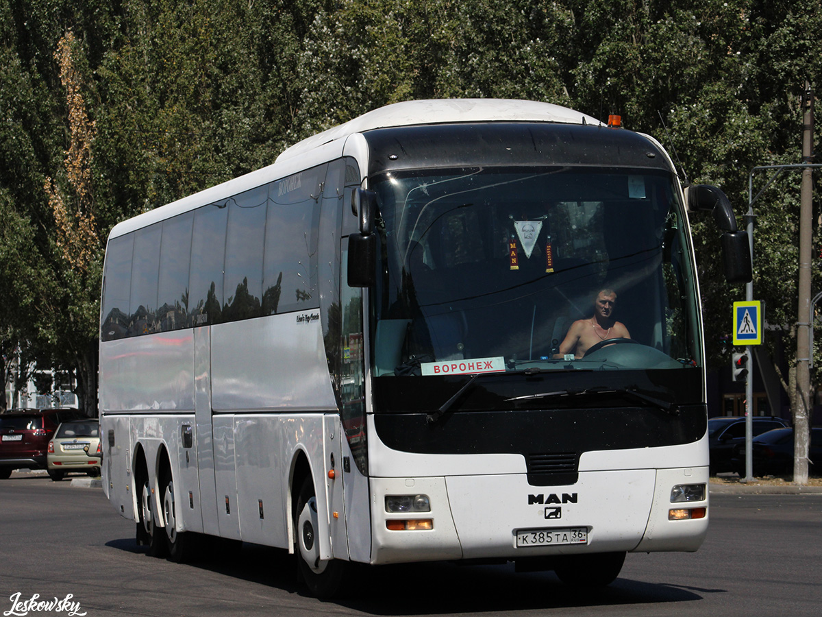 Воронежская область, MAN R08 Lion's Top Coach RHC414 № К 385 ТА 36