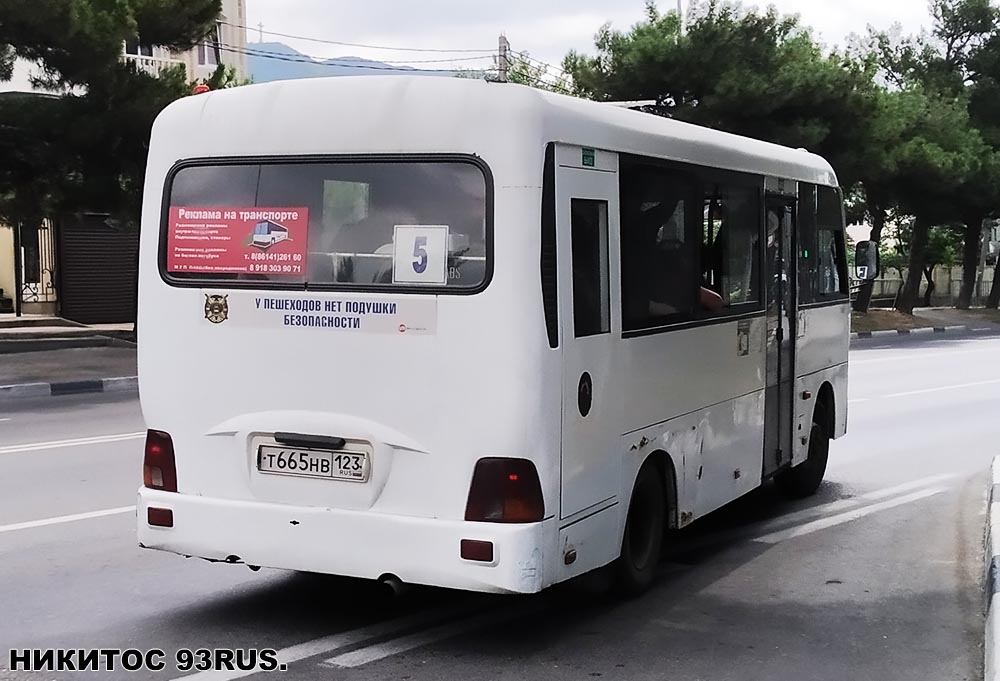 Krasnodar region, Hyundai County LWB C11 (TagAZ) Nr. Т 665 НВ 123