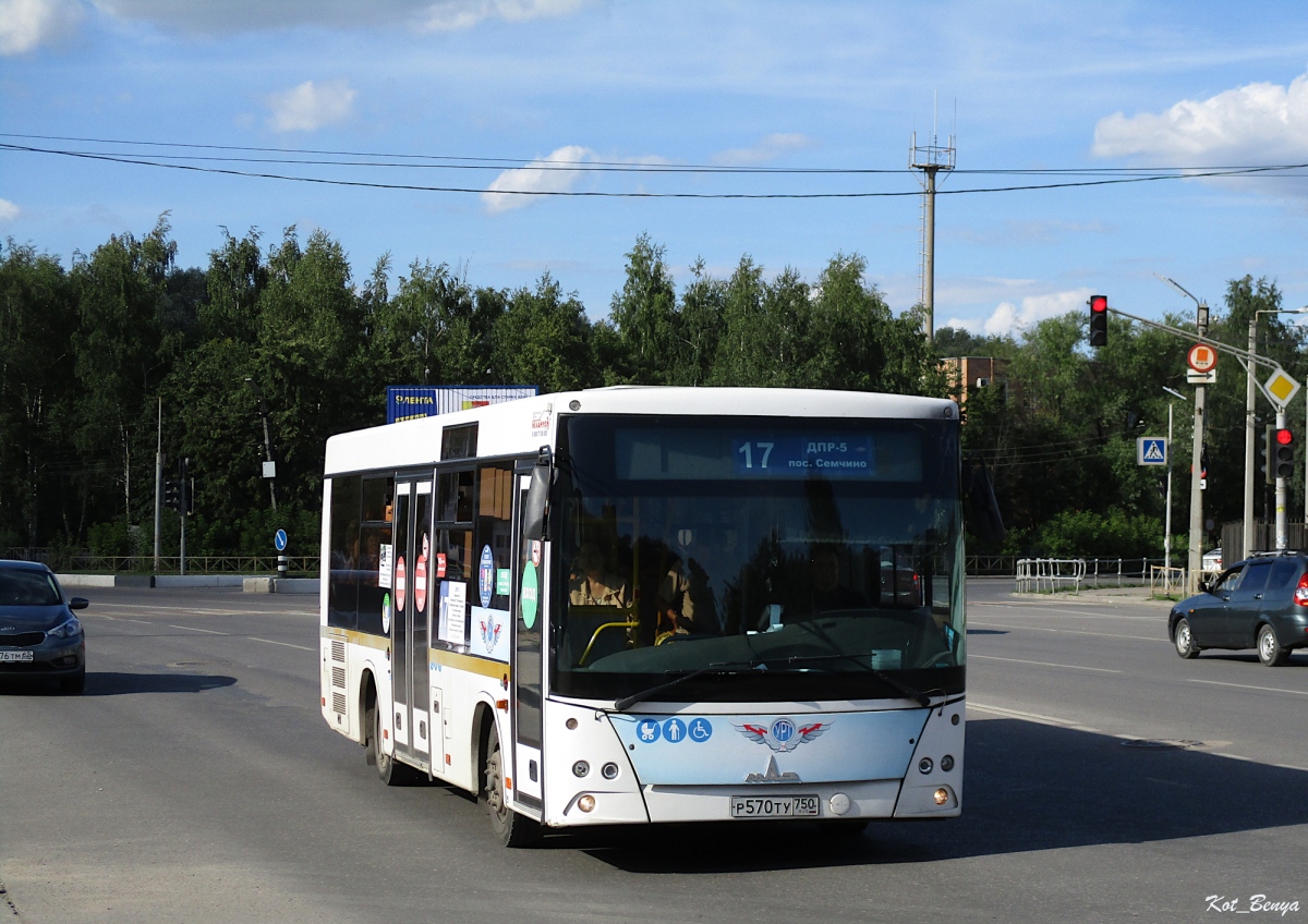 Рязанская область, МАЗ-206.086 № Р 570 ТУ 750