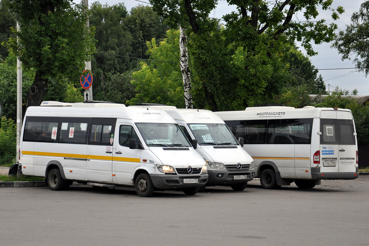 Московская область, Луидор-223237 (MB Sprinter Classic) № 3524