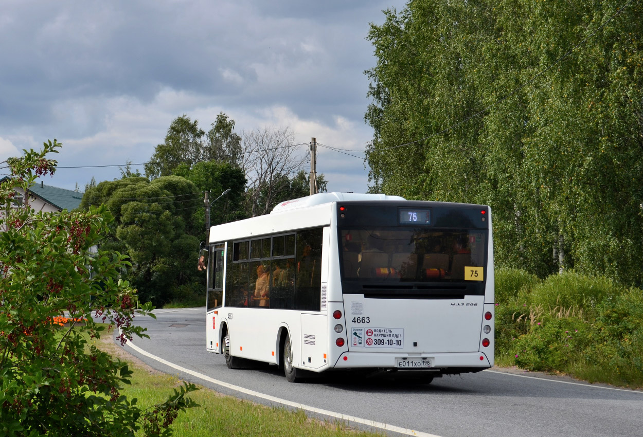 Sankt Peterburgas, MAZ-206.086 Nr. 4663