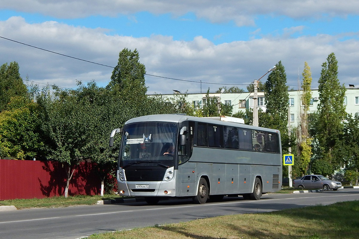 Белгородская область, ГолАЗ-529114-1x № О 914 ХА 31