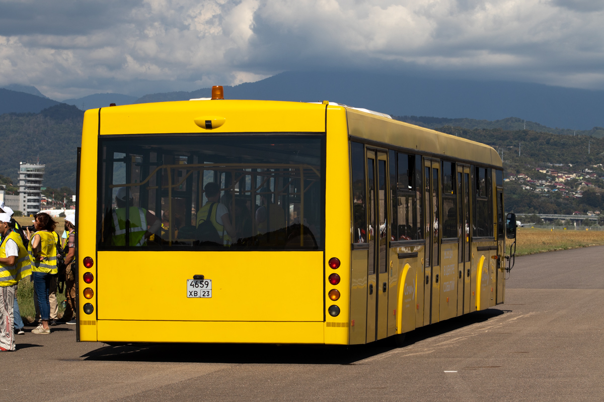 Krasnodar region, MAZ-171.075 Nr. 113 — Nuotrauka — Autobusų transportas