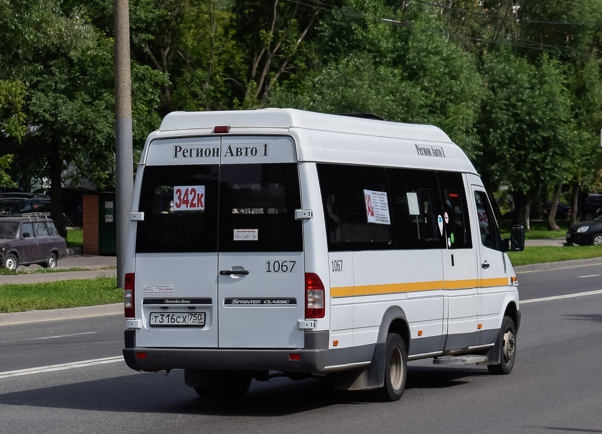 Московская область, Луидор-223229 (MB Sprinter Classic) № 1067
