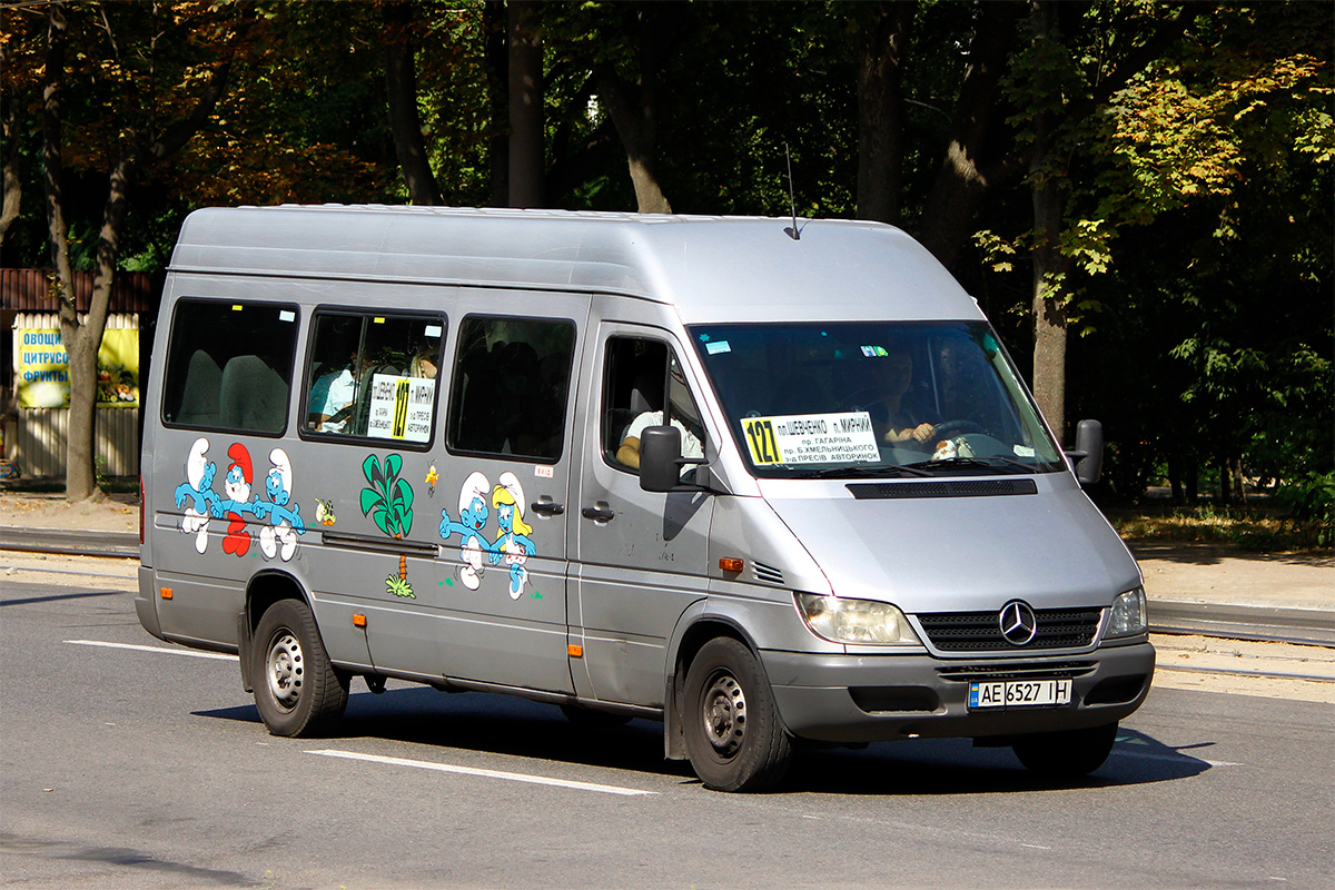 Днепропетровская область, Mercedes-Benz Sprinter W903 313CDI № AE 6527 IH