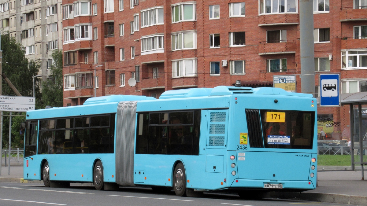 Санкт-Петербург, МАЗ-216.066 № 2436