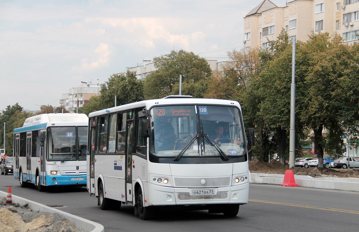 Белгородская область, ПАЗ-320412-05 "Вектор" № О 621 ВА 31