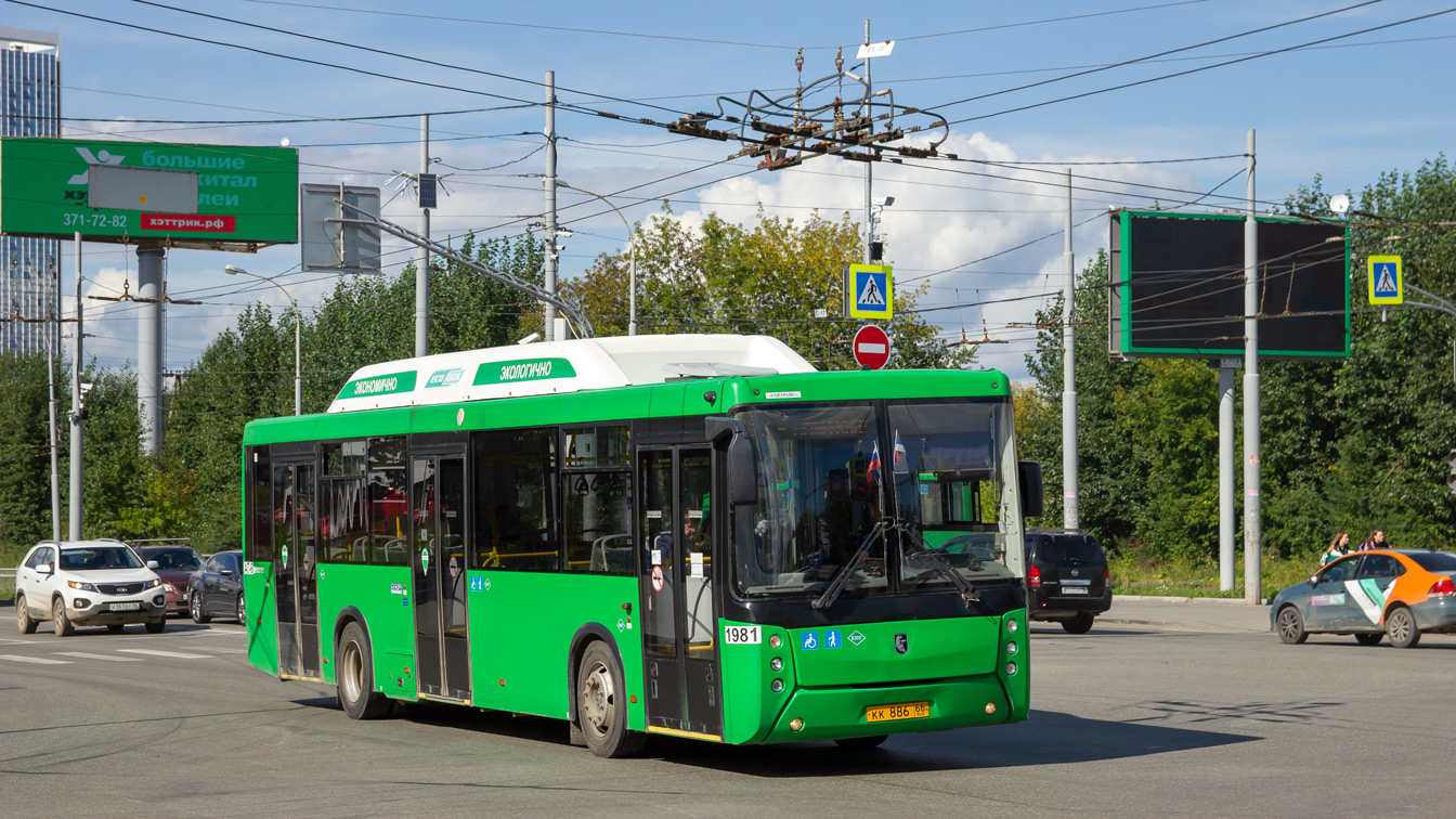 Sverdlovsk region, NefAZ-5299-40-51 # 1981