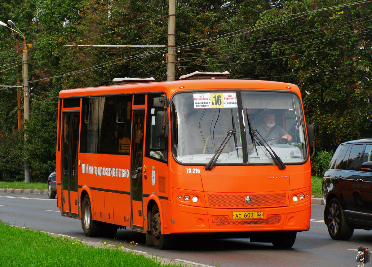 Нижегородская область, ПАЗ-320414-05 "Вектор" (1-2) № 73215