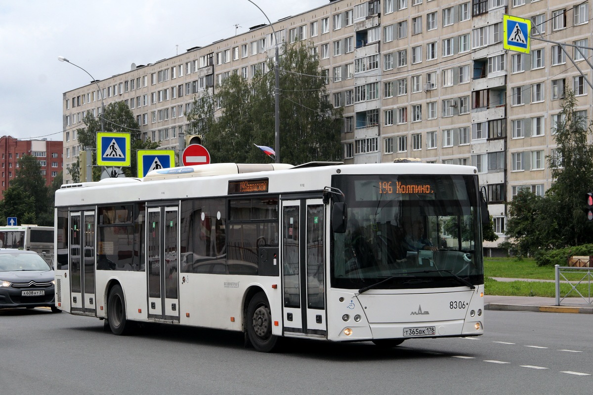 Санкт-Петербург, МАЗ-203.085 № 8306