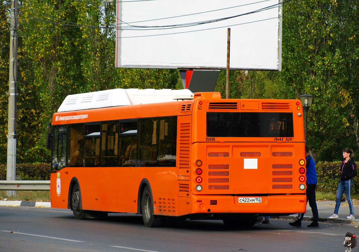 Nizhegorodskaya region, LiAZ-5292.67 (CNG) Nr. 15446