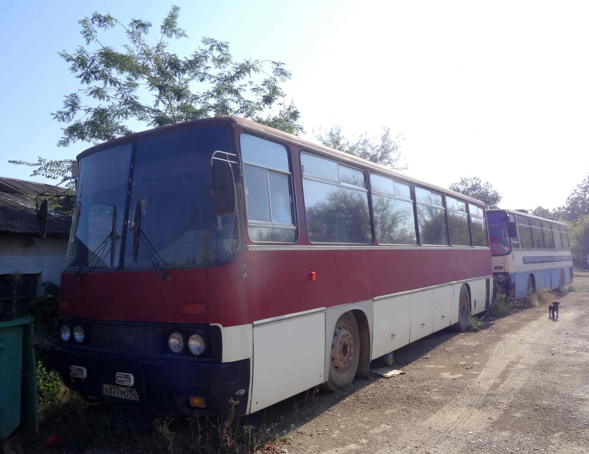 Республика Крым, Ikarus 256.54 № А 877 МО 82