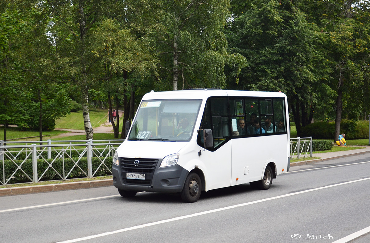 Санкт-Петербург, ГАЗ-A63R42 Next № А 495 ВВ 198 — Фото — Автобусный  транспорт