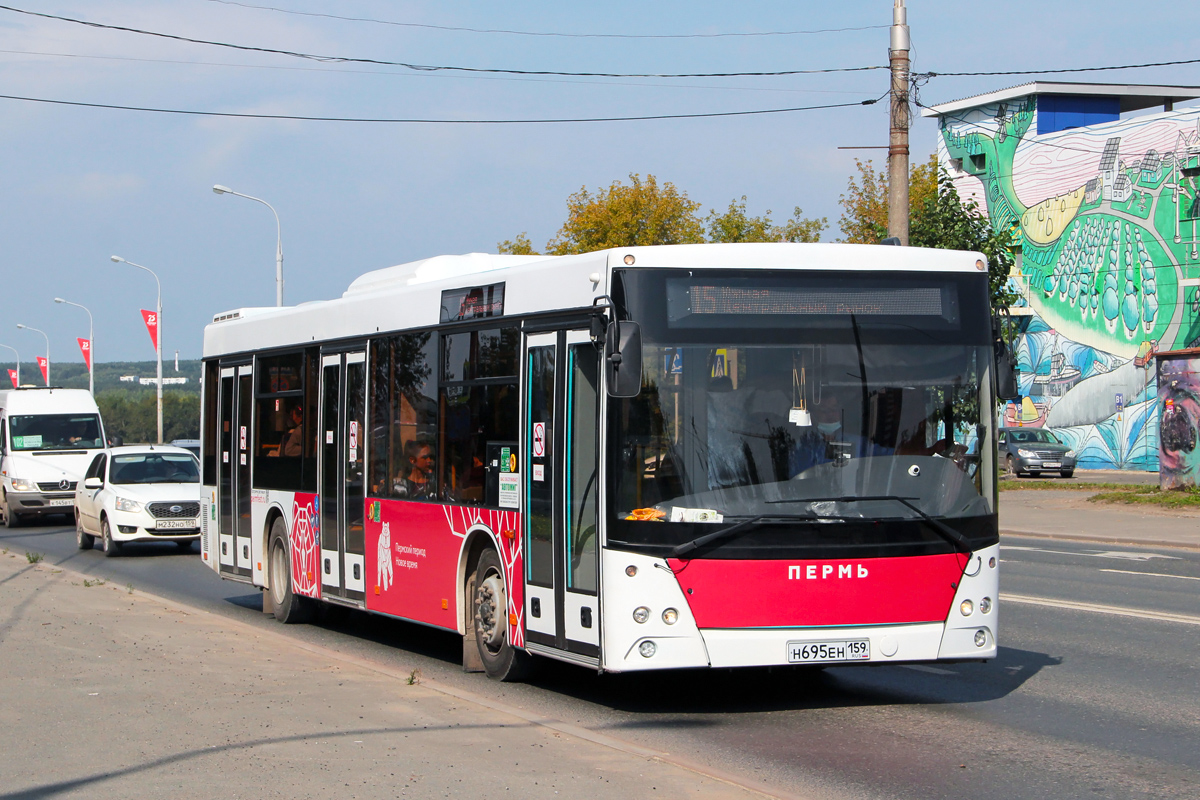 Пермский край, Луидор-223203 (MB Sprinter Classic) № К 145 ВТ 159; Пермский край, МАЗ-203.016 № Н 695 ЕН 159