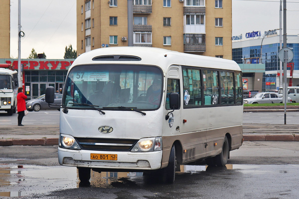 Кемеровская область - Кузбасс, Hyundai County Kuzbass № 241