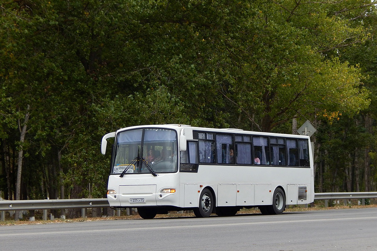 Белгородская область, КАвЗ-4238-02 № Т 237 СУ 31 — Фото — Автобусный  транспорт