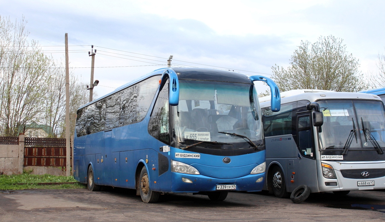 Ленинградская область, Yutong ZK6129H № У 339 ТР 47